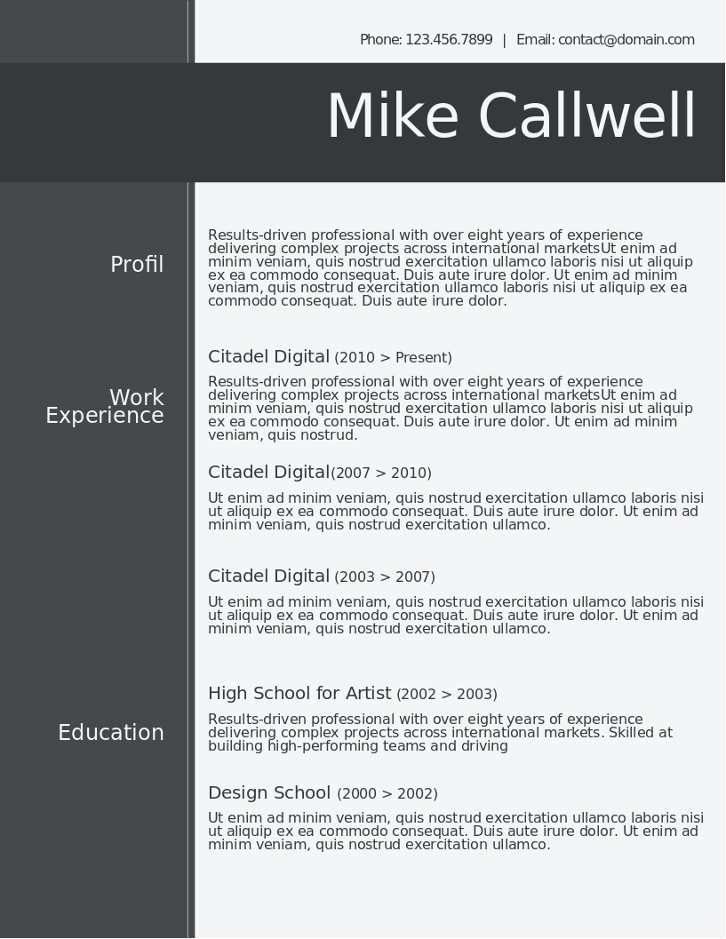 Modish and Elegant CV preview